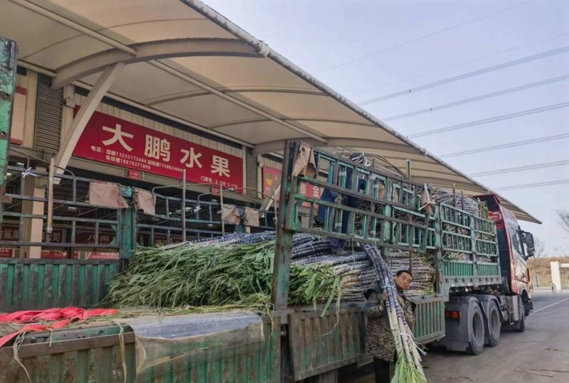 贸易代理